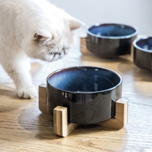 Doppel Katze Schüssel mit Holzständer - Stilvolle und praktische Fütterungsstation für Katzen und kleine Hunde - Everything for your Cat